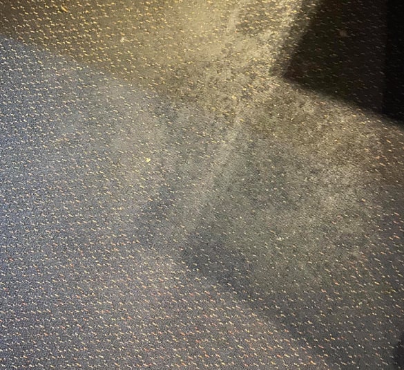 carpet cleaning dandenong